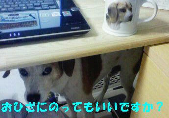 fe1cc5bb.jpeg