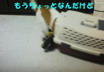 9f290940.jpeg