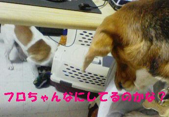 ff241d15.jpeg