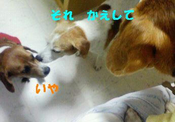 ebc6abde.jpeg