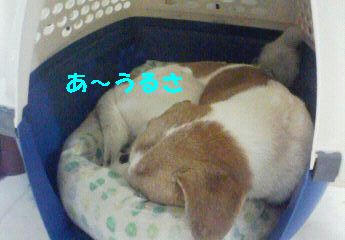 05614f0b.jpeg