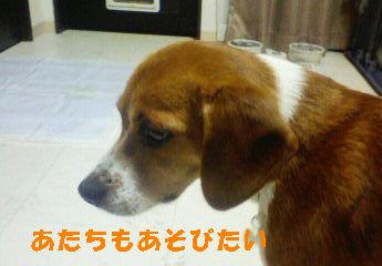 b3060482.jpeg