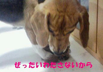 54428ffc.jpeg