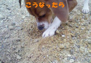 3a3a0806.jpeg