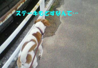8768c38d.jpeg