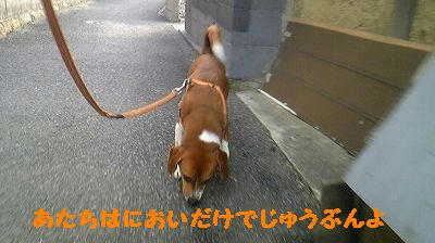c74b6708.jpeg