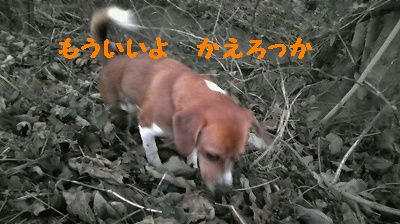 b9d6857c.jpeg