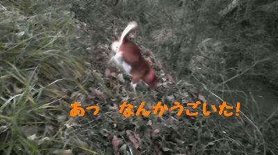 465215d7.jpeg