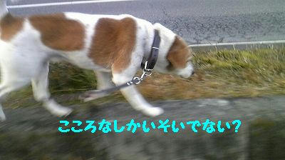 423ec5a8.jpeg
