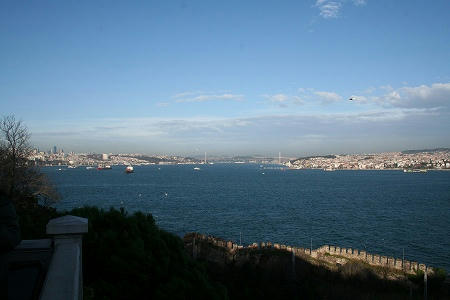 IMG_7382.jpg