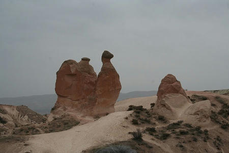 IMG_7735.jpg