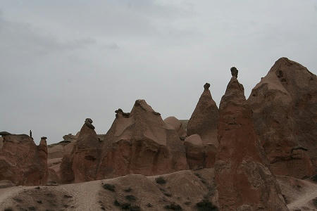 IMG_7736.jpg
