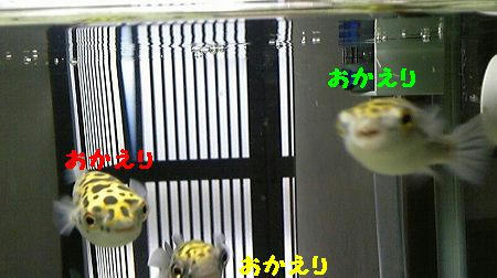 88daadb7.jpeg