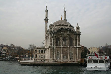 IMG_7849.jpg