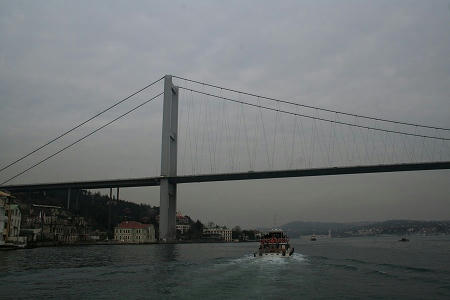 IMG_7850.jpg