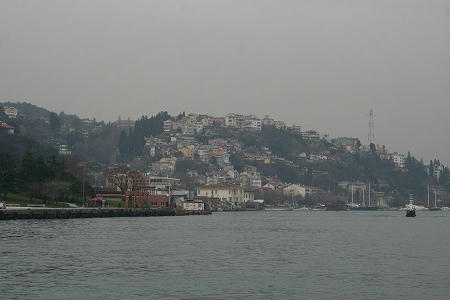 IMG_7854.jpg