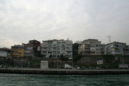 IMG_7856.jpg