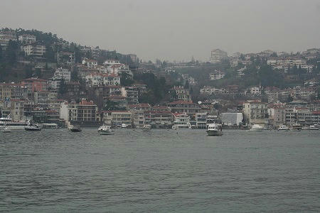 IMG_7863.jpg