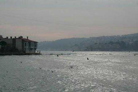 IMG_7886.jpg