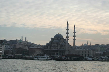 IMG_7895.jpg
