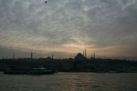 IMG_7897.jpg