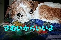 IMG_8059.jpg