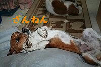 IMG_8067.jpg