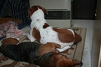 IMG_8056.jpg