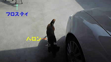 90f2f923.jpeg
