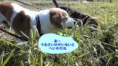 b99a8498.jpeg