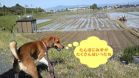 965460fe.jpeg