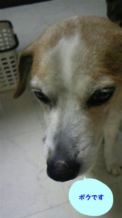 8a375568.jpeg