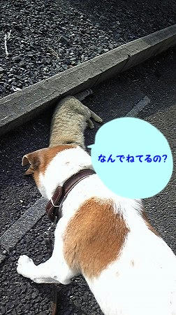 711529ab.jpeg