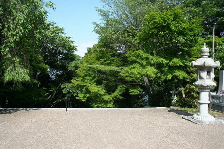 IMG_8262.jpg