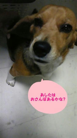 a78a2334.jpeg