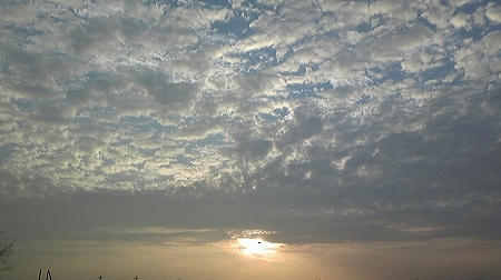 0ca24214.jpg
