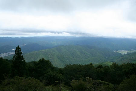 IMG_8342.jpg