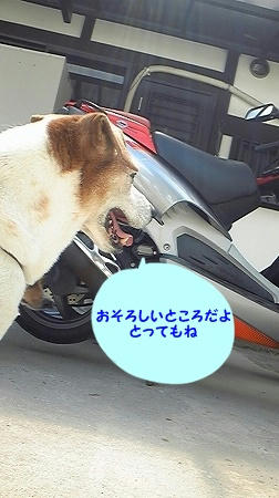 50539111.jpeg