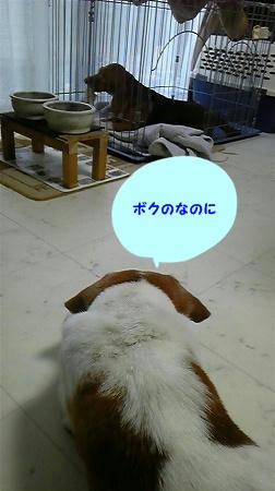 4535f9cb.jpeg