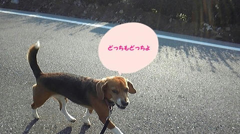600595a2.jpeg