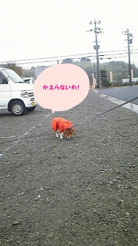 5aa44478.jpeg