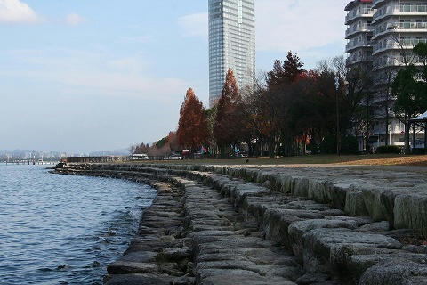IMG_8517.jpg