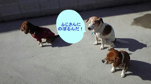 262260f6.jpeg