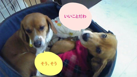 27406d7a.jpeg