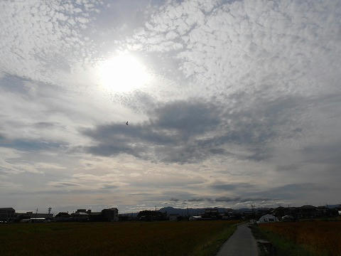 P5310013.jpg