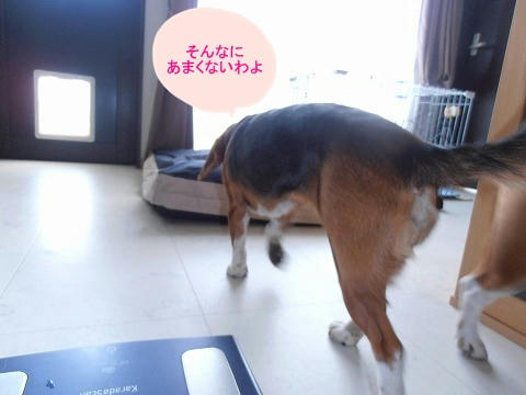 P6040003.jpg