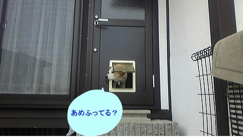b04943ed.jpeg