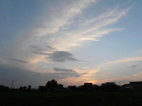 P7050023.jpg