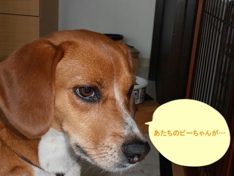 P7100007.jpg