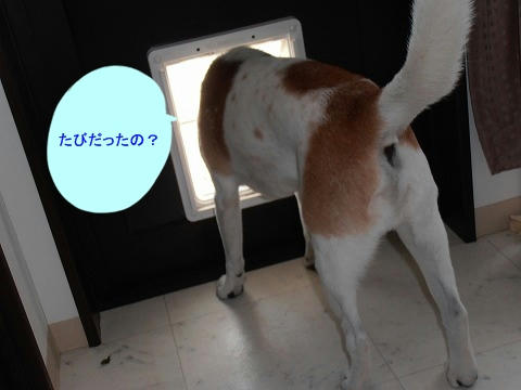 P7100008.jpg